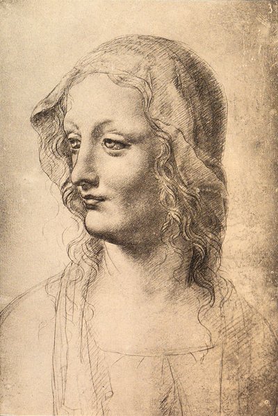 Hoofd van een jonge vrouw door Leonardo da Vinci