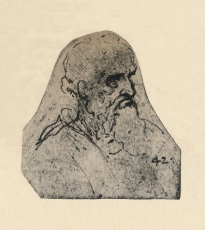Hoofd van een Oude Man naar Rechts Gedraaid, c1480 door Leonardo da Vinci