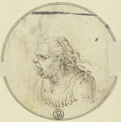 Karikatuur van een vrouw met open mond, borstbeeld, in profiel naar links door Leonardo da Vinci