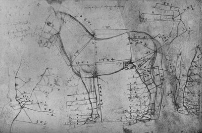 Gemeten tekening van een paard in profiel naar links door Leonardo da Vinci