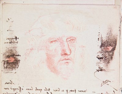 Aantekeningen over de Richtingsveranderingen in de Vlucht, manuscriptpagina uit Codici Rari III 35.2, fol. 10v uit Verhandeling over de Vlucht van Vogels, 1505 door Leonardo da Vinci