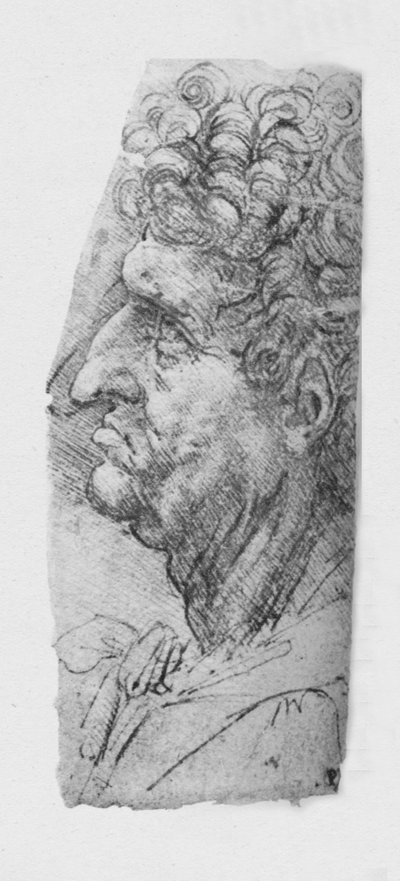 Profiel naar links van een oudere man met krullend haar, ca. 1480 1945 door Leonardo da Vinci