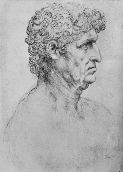 Profiel naar rechts van een oudere man, ca. 1480, 1945 door Leonardo da Vinci