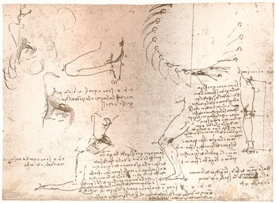 Schetsen ter illustratie van de theorie van de verhoudingen van het menselijk figuur, ca. 1472-ca. 1519, 1883 door Leonardo da Vinci