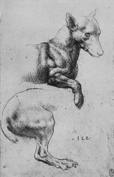 Studies van de Voor- en Achterkwartieren van een Hond, c1480 door Leonardo da Vinci