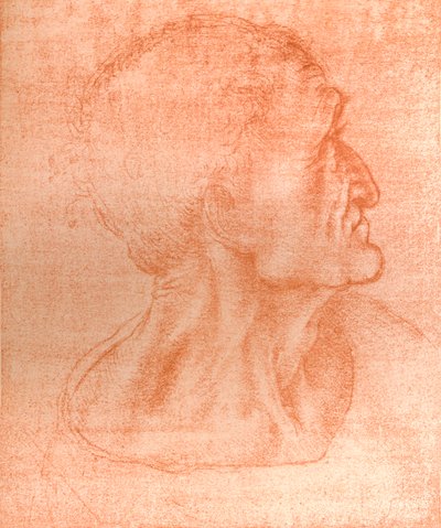 Studie voor het hoofd van Judas in 