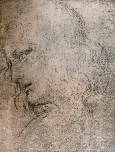 Studie voor het hoofd van St. Philip in `Het Laatste Avondmaal`, ca. 1494-1499 door Leonardo da Vinci