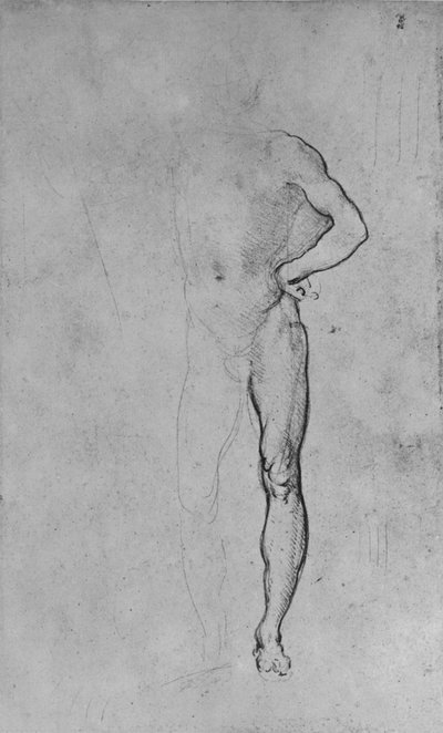 Studie van een naakte man met zijn linkerhand op zijn heup, ca. 1480 door Leonardo da Vinci