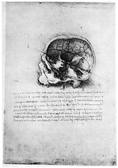 Studie van een menselijke schedel, laat 15e of begin 16e eeuw, 1954 door Leonardo da Vinci