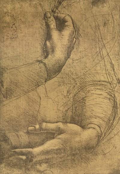 Studie van vrouwelijke handen, ca. 1472-ca. 1519 1883 door Leonardo da Vinci