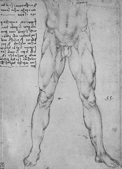 Studie van de onderste helft van een naakte man die naar voren kijkt, ca. 1480 1945 door Leonardo da Vinci