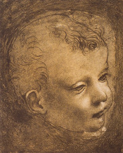Studie van het gezicht van de jonge St. Johannes voor de Madonna van de Rotsen door Leonardo da Vinci