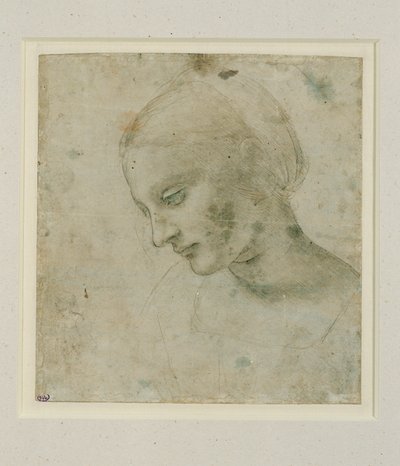 Het hoofd van een vrouw bijna in profiel ... door Leonardo da Vinci