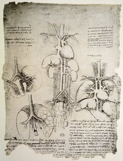 Het hart en de bloedsomloop, facsimile van het Windsor-boek door Leonardo da Vinci