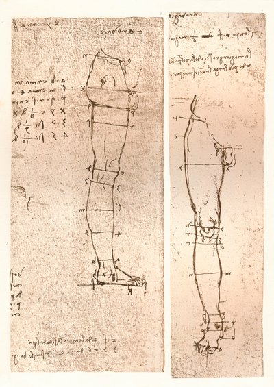 Twee tekeningen ter illustratie van de theorie van de proporties van het menselijk figuur, ca. 1472-ca. 1519, 1883 door Leonardo da Vinci