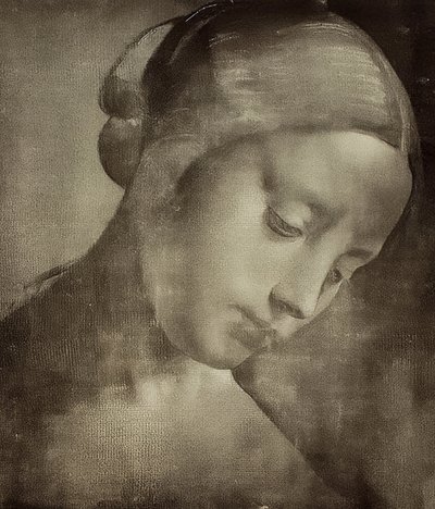 Vrouwelijk hoofd door Leonardo da Vinci