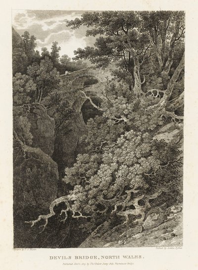 Duivelsbrug, Noord-Wales door Letitia Byrne
