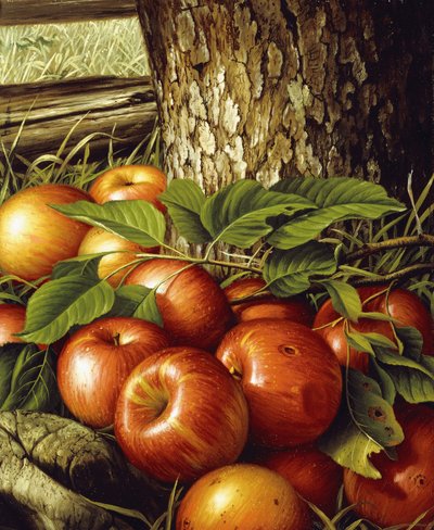 Appels en boomstam door Levi Wells Prentice