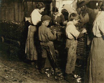 10-jarige Jimmie die al 3 jaar schilt (6 potten per dag) met een 11-jarige jongen die 7 potten schilt bij Varn und Platt Canning Co., Bluffton, South Carolina, 1913 door Lewis Wickes Hine