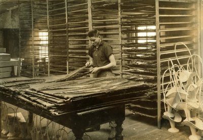 Een 15-jarige jongen sorteert cycasbladeren bij de Boston Floral Supply Company door Lewis Wickes Hine