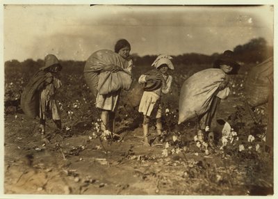 Edith 5 en Hughie 6 plukken de hele dag katoen, Alton 7 plukt 50 pond en Ruth 9 plukt 75, op de boerderij van H.M. Lane, Bells, Texas, 1913 door Lewis Wickes Hine