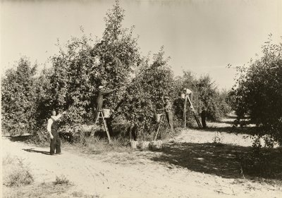 Zonder titel, ca. 1935 door Lewis Wickes Hine