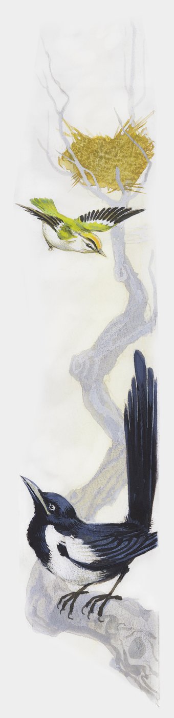 Vogel bouwt zijn nest in boom, terwijl ekster toekijkt vanaf lagere tak, tekening door Unbekannt Unbekannt