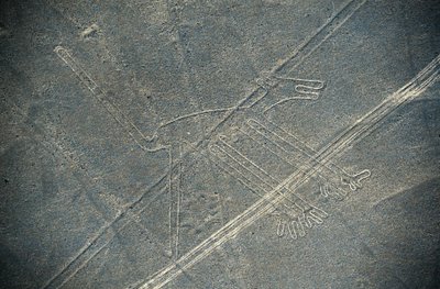 Hond, Nazcalijnen, Nazca, Peru, Nazca-beschaving (foto) door Unbekannt Unbekannt