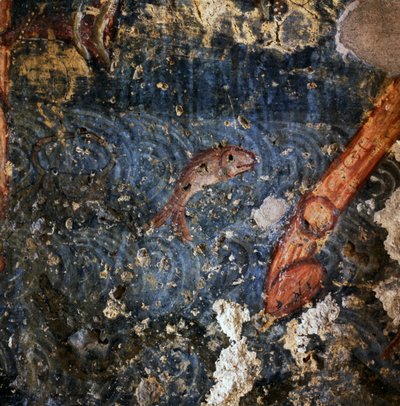 Vis, detail van fresco in klooster van Agios Georgios, Diavaide, Kreta, Griekenland door Unbekannt Unbekannt