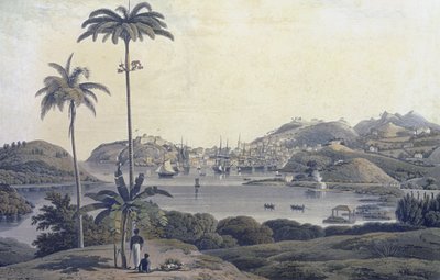 Een uitzicht op de stad St. George op het eiland Grenada, genomen vanaf het Belmont Estate, gegraveerd door William Daniell (1769-1837), c.1810 door Lieutenant Colonel J. Wilson