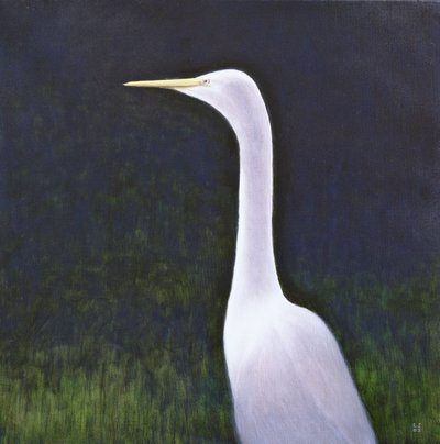 Witte Reiger door Lincoln Seligman