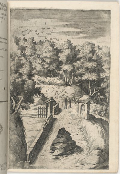 De Begroeting van de Vogels (Il Saluto degli uccelli) [plaat C] door Lino Moroni