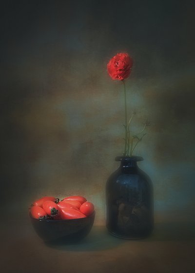  door Liu Xing