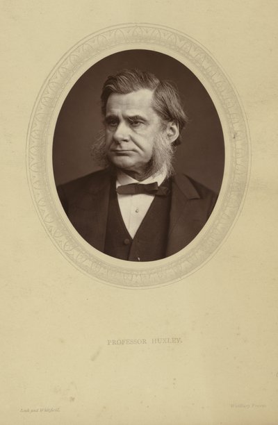 Portret van Thomas Henry Huxley door Lock and Whitfield