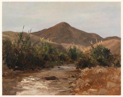 Tekening, bij Jericho, Wady Kilt, 20 maart 1876 door Lockwood de Forest