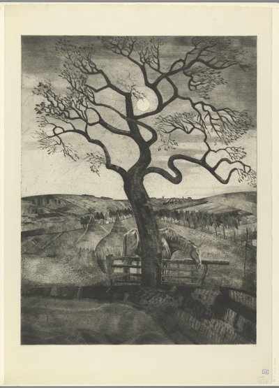 Paard in een weiland bij Etikhove door Lodewijk Schelfhout (signed by artist)