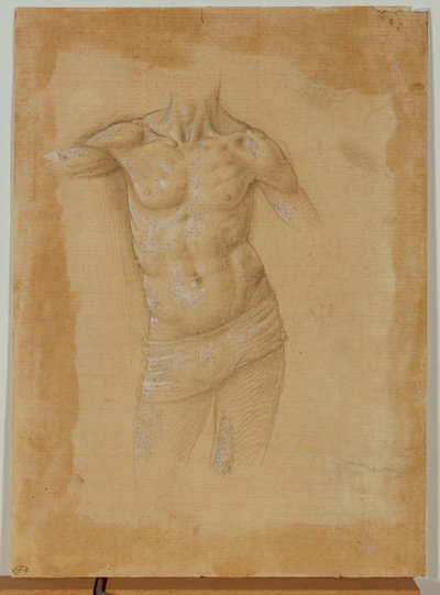 Borstbeeld van een halfnaakte man, zonder hoofd ... door Lorenzo di Credi