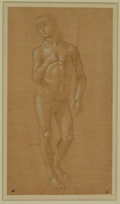 Naakte jongeman, vol gezicht, houdt een staf vast Zilveren penpunt, verhoogd in wit, lichtroze papier ... door Lorenzo di Credi
