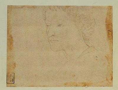 Portret van een jongen met krullend haar, driekwart naar links ... door Lorenzo di Credi