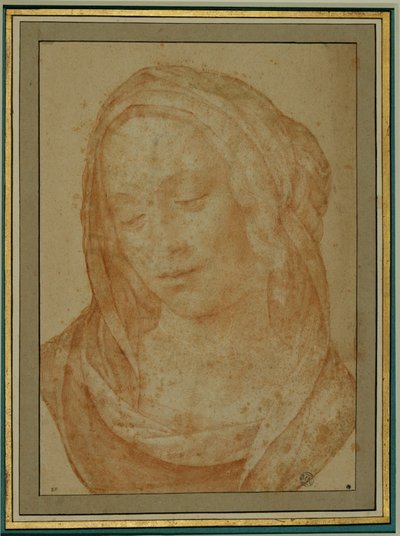 Portret van een vrouw met sluier ... door Lorenzo di Credi