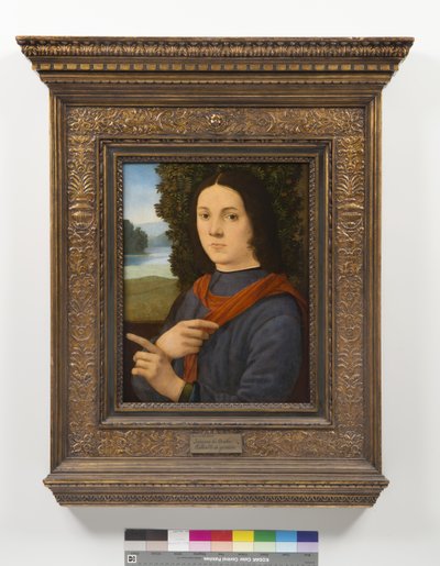 Portret van een jonge man door Lorenzo di Credi