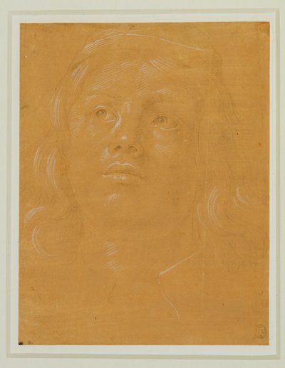Portret van een jongeman, gezicht, opkijkend ... door Lorenzo di Credi