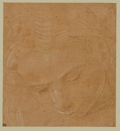 Portret van een jonge man, naar beneden kijkend ... door Lorenzo di Credi
