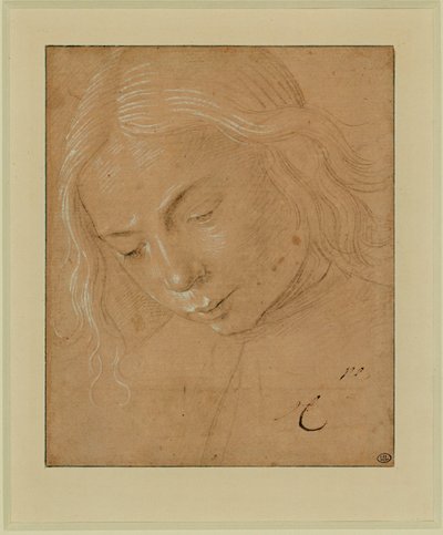 Portret van een jongeman, driekwart profiel, voorover gebogen ... door Lorenzo di Credi