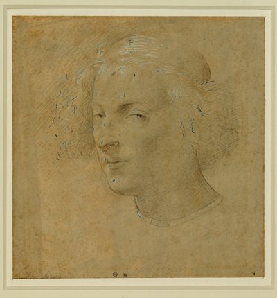 Portret van een jonge man met keppel ... door Lorenzo di Credi
