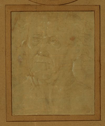 Portret van een oude man ... door Lorenzo di Credi