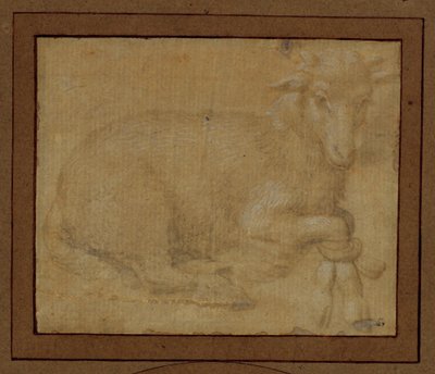 Studie van een lam ... door Lorenzo di Credi