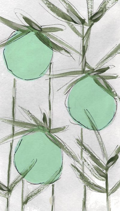  door Lori Ann Folz