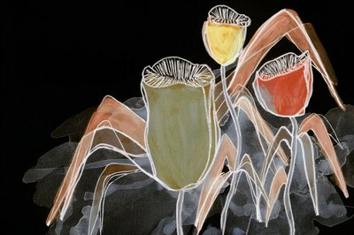 Donkere botanische peulen door Lori Ann Folz