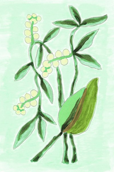 Fris, botanisch groen door Lori Ann Folz